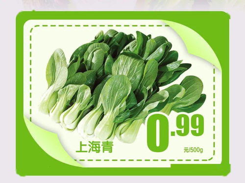 基地直采新鲜蔬菜仅售九毛九 价格背后的真实价值